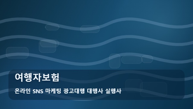 온라인 SNS 마케팅 광고대행 대행사 실행사 여행자보험 여행자보험 실속 가입 요령 대표 이미지