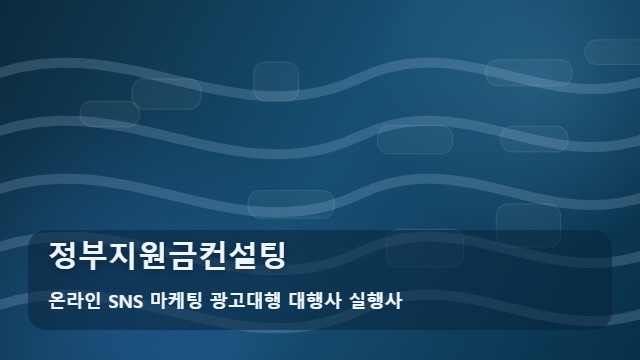 온라인 SNS 마케팅 광고대행 대행사 실행사 정부지원금컨설팅 정부지원금컨설팅 성공 전략: 가이드 대표 이미지