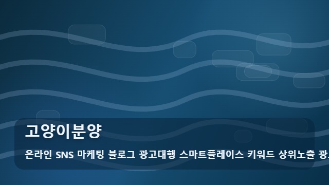 온라인 SNS 마케팅 블로그 광고대행 스마트플레이스 키워드 상위노출 광고대행사 고양이분양 건강한 고양이분양 핵심 가이드 및 활용법 대표 이미지