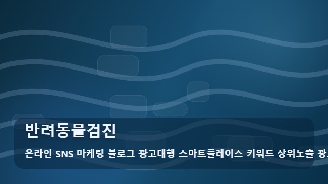 온라인 SNS 마케팅 블로그 광고대행 스마트플레이스 키워드 상위노출 광고대행사 반려동물검진 반려동물검진 안내와 대표 이미지