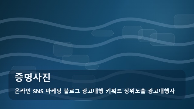 온라인 SNS 마케팅 블로그 광고대행 키워드 상위노출 광고대행사 증명사진 증명사진 비용 분석: 매뉴얼 대표 이미지