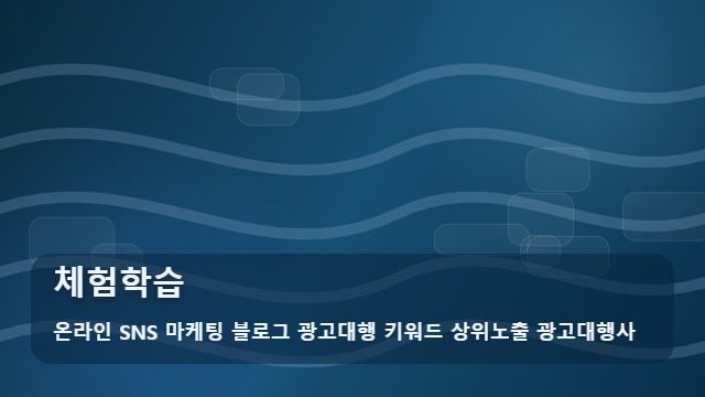 온라인 SNS 마케팅 블로그 광고대행 키워드 상위노출 광고대행사 체험학습 체험학습 예약 전 주의사항 대표 이미지