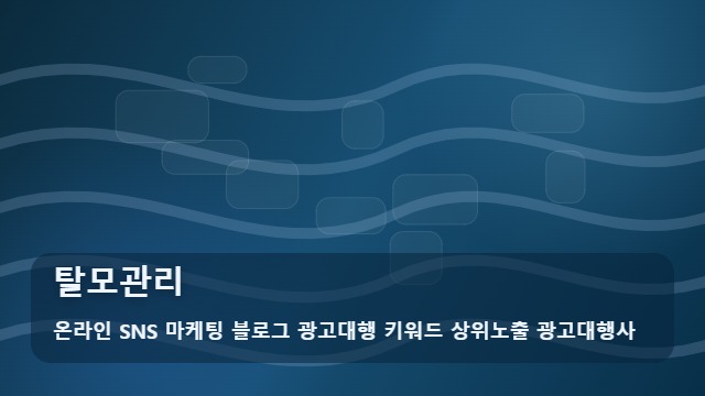 온라인 SNS 마케팅 블로그 광고대행 키워드 상위노출 광고대행사 탈모관리 탈모관리 현명한 선택 기준, 팩트 체크 대표 이미지