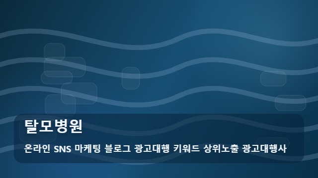 온라인 SNS 마케팅 블로그 광고대행 키워드 상위노출 광고대행사 탈모병원 탈모병원 선택 전 정보 비교 포인트 대표 이미지