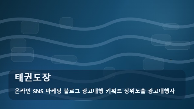 온라인 SNS 마케팅 블로그 광고대행 키워드 상위노출 광고대행사 태권도장 태권도장 홍보 실패 예방하는 활용법 대표 이미지