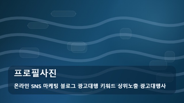 온라인 SNS 마케팅 블로그 광고대행 키워드 상위노출 광고대행사 프로필사진 프로필사진 성공의 핵심은? 실무자 운영 팁 대표 이미지