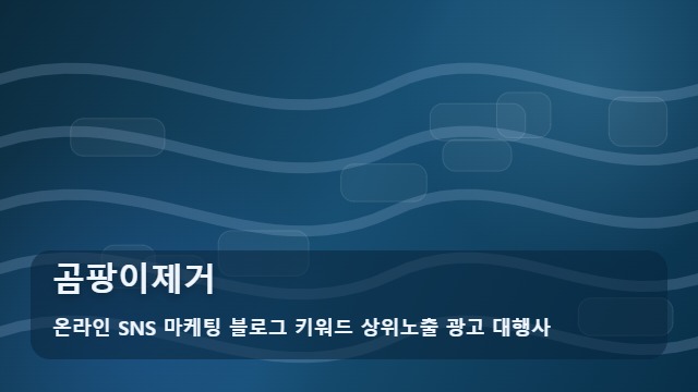 온라인 SNS 마케팅 블로그 키워드 상위노출 광고 대행사 곰팡이제거 곰팡이제거 재발 방지 핵심 수칙과 제언 대표 이미지
