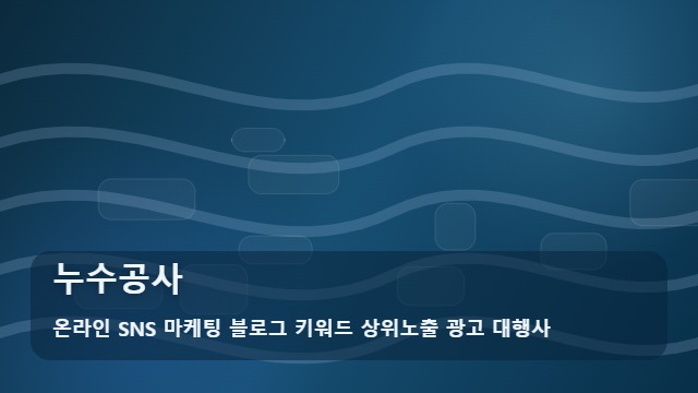 온라인 SNS 마케팅 블로그 키워드 상위노출 광고 대행사 누수공사 누수공사 실패 피하려면? 필수 확인 대표 이미지