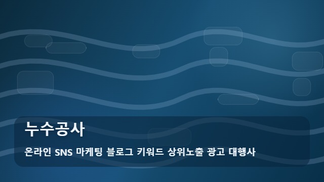 온라인 SNS 마케팅 블로그 키워드 상위노출 광고 대행사 누수공사 누수공사 선택 기준 대표 이미지