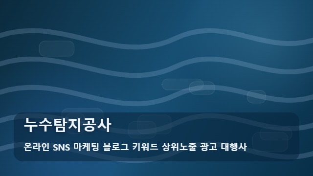 온라인 SNS 마케팅 블로그 키워드 상위노출 광고 대행사 누수탐지공사 누수탐지공사 장단점은? 정보 대표 이미지