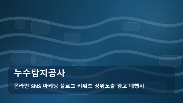 온라인 SNS 마케팅 블로그 키워드 상위노출 광고 대행사 누수탐지공사 누수탐지공사 결정 전 체크리스트 대표 이미지