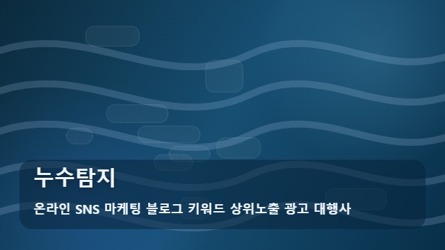 온라인 SNS 마케팅 블로그 키워드 상위노출 광고 대행사 누수탐지 누수탐지 해결 후 필수 점검법 가이드 대표 이미지