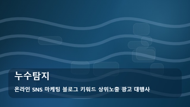 온라인 SNS 마케팅 블로그 키워드 상위노출 광고 대행사 누수탐지 누수탐지 실패 없는 해결을 위한 실무 가이드 대표 이미지