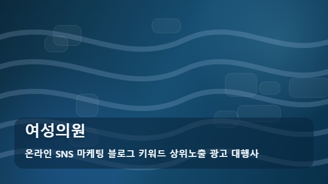 온라인 SNS 마케팅 블로그 키워드 상위노출 광고 대행사 여성의원 여성의원를 알아볼 때 먼저 볼 내용 대표 이미지