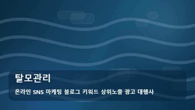 온라인 SNS 마케팅 블로그 키워드 상위노출 광고 대행사 탈모관리 탈모관리 전 무엇을 확인할까? 체크리스트 대표 이미지
