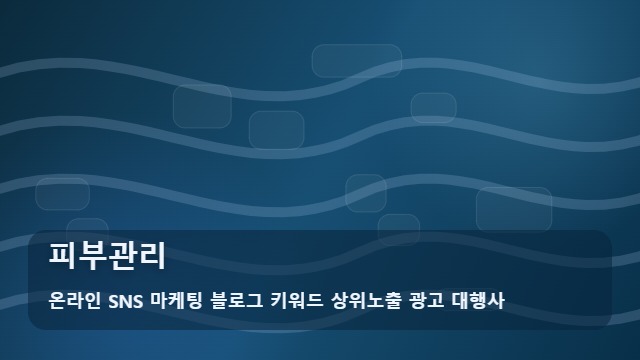 온라인 SNS 마케팅 블로그 키워드 상위노출 광고 대행사 피부관리 피부관리 샵 고르는 기준은? 분석 가이드 대표 이미지