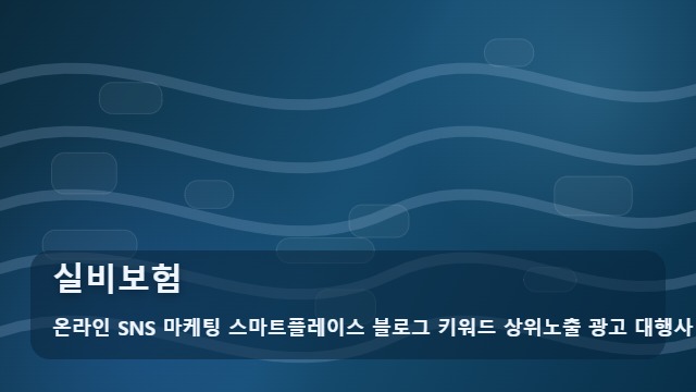 온라인 SNS 마케팅 스마트플레이스 블로그 키워드 상위노출 광고 대행사 실비보험 실비보험 실전 정리 대표 이미지