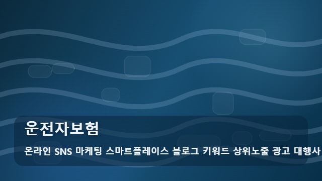 온라인 SNS 마케팅 스마트플레이스 블로그 키워드 상위노출 광고 대행사 운전자보험 운전자보험 보장 분석 필수 항목 제언 대표 이미지